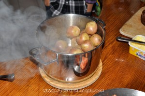 Baby Potatos
