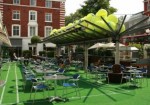 Summer 2013 At Bluebird