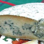 Blue Cheese Under The Microscope
