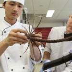 Australia Compete in Pastry World Cup