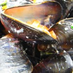 irish muscle soup