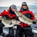 skrei cod